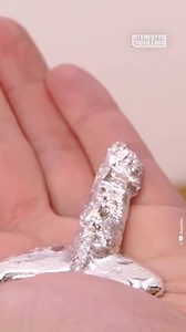 Gallium has a cool and unusual characteristic that you can melt it with your body temperature. Holding onto a piece of gallium will cause it to melt. | Interesting Engineering