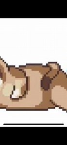 Grumpy Cat's Worst Game Ever YOU WILL EVER PLAY Gameplay Walkthrough Episode 14 iOS, Android