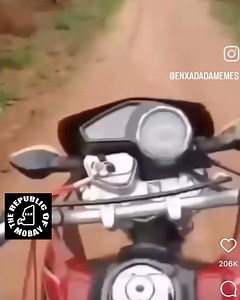 2.5K views | Ride slow and watch for the cow signs | Republic of Mobay | Facebook