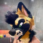 PalaceWolf's Most Recent | Pornhub