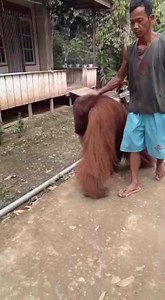 36K views · 1K reactions | Warga di Desa Lusan, Kecamatan Muara...