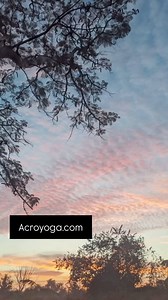 The Acroyoga Montreal Teacher Training has been evolving and refining...