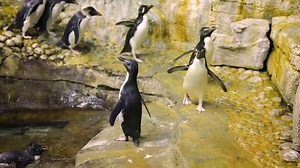 4.3K views · 497 reactions | Filling your feed with feel-good fun!...