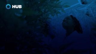 The North American cannabis industry continues to mature, with more states approving its use for medicinal and recreational purposes each year. However, a congested marketplace and changing economic conditions have made it more critical than ever for cannabis companies to craft solid risk management plans. https://ow.ly/o7At50PSy8Z #cannabis #insurance | HUB International