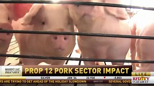 With Prop 12 becoming law in California, the pork sector is looking to adjust to the new reality. RealAgriculture offers more insight. | Ruralradio147