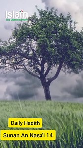 أَخْبَرَنَا قُتَيْبَةُ، قَالَ حَدَّثَنَا جَعْفَرٌ، - هُوَ ابْنُ...