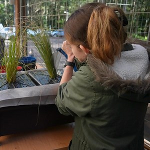 Start Degree In July | The University of Newcastle, Australia | Facebook