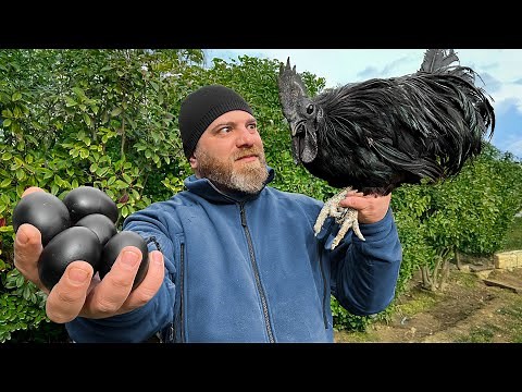Exotic Black Meat Chicken! 🍗🔥 A Classic Recipe with a Unique Twist!