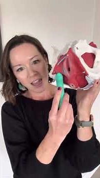 External pudendal nerve release using the Intimate Rose wand