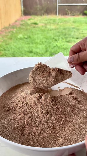 Cómo hacer pinolillo: Receta fácil y deliciosa