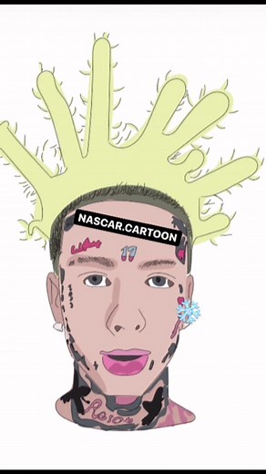 nascar.cartoon on TikTok