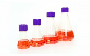 [Hot Item] Plastic PETG PC Conical Flat-Bottomed Lab Erlenmeyer Volumetric Flask Conical Flask