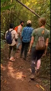 Raw chaos Sloth bear attack captured in shaky, | Wild Strike