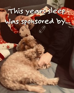 43K views · 1.9K reactions | ‘The Snowman’ aired for the first time 40 years ago this Christmas Eve. I’ve done a lot of ‘The Snowman’ windows this year but this one was special. I recreated pages from the Raymond Briggs book, so as you walk past the windows of ‘And so to bed’ in Chelsea, you can see the story unfold #winterwindows #christmas2022 #snowart #snowwindows #christmaswindows The Snowman, And So To Bed | Snow Windows | Facebook