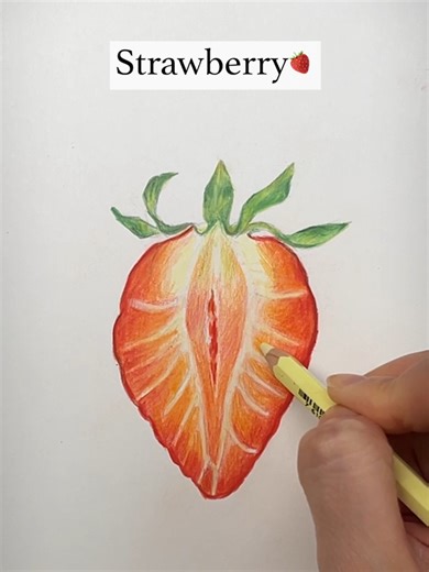 いちごの断面を描いてみた🍓 #苺 #断面 #色鉛筆 #strawberry #fruitart #howtodraw #drawing