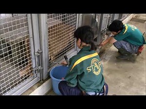 【ズーラシア公式】フラビアの採血トレーニング