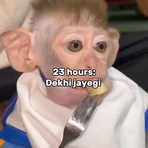 Men only have two moods 😎 | I love Memes