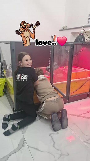 Meerkat Couple's Love: A Family Story 🥰