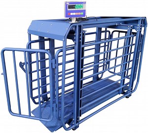 [Hot Item] Weighing Bars Livestock Used Pig Scales Camel Weighing Scale