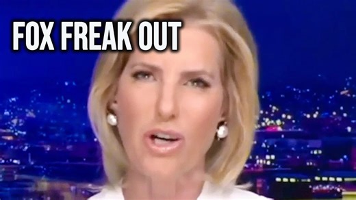 Fox News Host Panics As Meltdown Logic Deteriorates On-Air | The Damage Report
