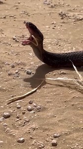 AQN9n0p-0YBXRqozu_CWtmnYCThP5WdDuYSEIrSfs9jed4m8_NGbxYshAw5Ncfv0e5exU0teAFDvja3o0Zp56hRi | BAKA music awards