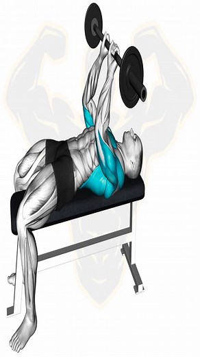 #muscleman #workoutmotivation #GymRoutine #fitnessroutines #TotalFitness #Functionaltraining #fit #fitnessmotivation #bodybuilding #reels #gym #fitnesschallenge #fitness #training #workout | Muscle man