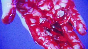 SWR Aktuell Rheinland-Pfalz: Videoflimmern in Koblenzer Museum