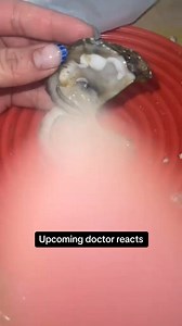 Do not eat raw oysters if you are pregnant as that can cause miscarriages and other birth complications | Inside Anesthesia