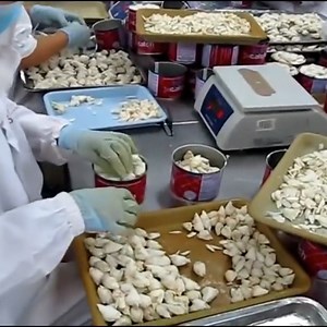1.9K views · 18 reactions | Crab Meat Factory Process | Machines Viral | Facebook