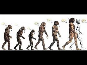 Human Evolution: The Origin of Humans - Documentary Films