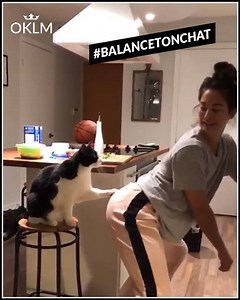 😅😅 #BalanceTonChat | OKLM