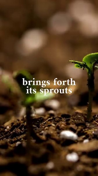 33K views · 1K reactions | As the world comes back alive this spring, reflect on this promise from God. One day, praise will rise from all nations, giving God glory. #FirstDayofSpring | Billy Graham Evangelistic Association | Facebook