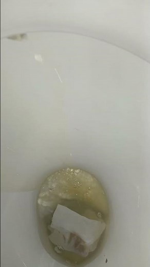 girl pooping into toilet pov