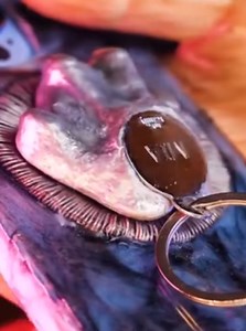 72K views · 131 reactions | Memorable Cat Hair Keepsake: Turning Fluff into a Phone Case  | Transformazing | Facebook