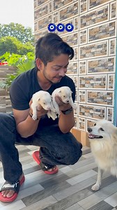 103K views · 11K reactions | #JusticeForZubeenGarg ঘৰৰ নতুন সদস্য কেইতা 刺刺 . . . . . #puppy #doglover #cute #newborn #newpost #spitz #instamood #love #animals #reels #trend #instagram #share #virals | AbhiJeet Saikia | Facebook