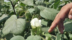 107K views · 2.2K reactions | Priaxor, powered by Xemium, is the most...