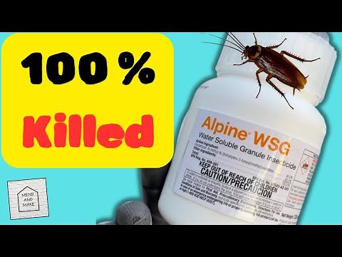 How to get rid of roaches with Alpine WSG