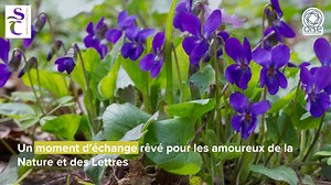 #SaisonCulturelle 🌿🎭 Envie d'une sortie nature ? 🌿 Rendez-vous dimanche 21 août de 14h30 à 16h30, pour une conférence déambulatoire "Jean-Jacques Rousseau et la botanique", au 𝐏𝐚𝐫𝐜 𝐉𝐞𝐚𝐧-𝐉𝐚𝐜𝐪𝐮𝐞𝐬 𝐑𝐨𝐮𝐬𝐬𝐞𝐚𝐮 à Ermenonville. Pour en savoir plus ➡🖱 https://actu.oise.fr/actualites/le-plein-de-culture-et-de-nature-au-parc-jean-jacques-rousseau-25834 ℹ️ Entrée gratuite, sur inscription #oise #nature #conference #animaux #culture #parc #parcjeanjacquesrousseau #ermenonville | Con