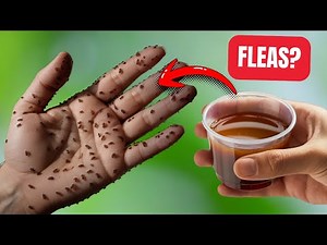 Just ONE Spray and Fleas are Gone Forever! Stronger Than Chemical Poisons.