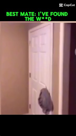 Summer-Rose Knight on TikTok