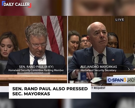 17K views · 573 reactions | Josh Hawley Goes Holds NOTHING BACK on Mayorkas Over Border Security | The Daily Caller | Facebook