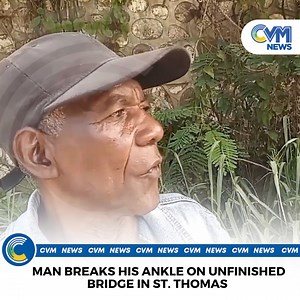 4.6K views · 18 reactions | The incomplete Allen Spring Bridge in St....