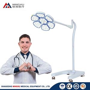 [Hot Item] Premium LED Surgical Lighting System for Enhanced Clarity
