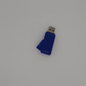 [Hot Item] Custom Logo USB Flash Disk Plastic Pen Drive USB Stick for Gift