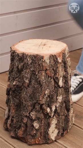 14K views · 25 reactions | Turn a Tree Stump Into a Stunning Table | Bored Panda Art | Facebook