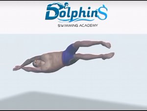 #dolphins_swimming_academy | Dolphins Swimming Academy