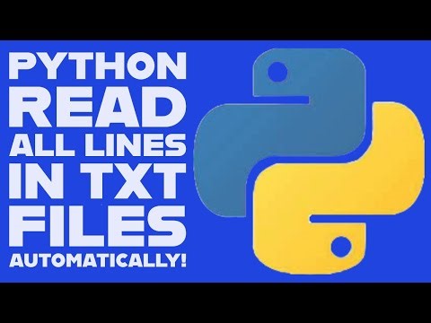 Python Mini Project: Loop Through Folders, Read Multiple TXT Files & Print All Lines