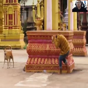 Fake Tiger Head Prank with Dog | Divya Reddy