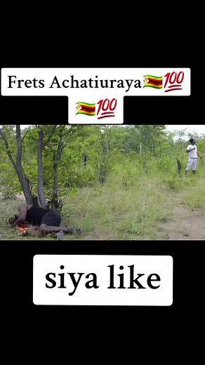 Frets Donzvo: Celebrating Music and Connections