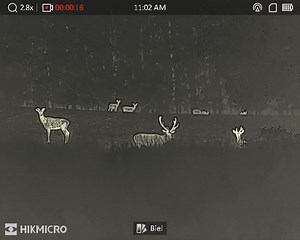 Kamera Termowizyjna Hikvision HIKMICRO FALCON FQ50 #HIKMICRO #FQ50 #FALCON #Termowizja #termo #HIKMICRO #hikmicroooutdoor #hikhunters | Sławomir Skukowski Fotografia Przyrody